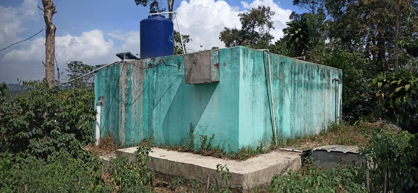 Ketua BUMDES Pulosari,  Kegiatan Bumdes Direalisasikan Ke Lahan Pertanian dan Ayam Petelur